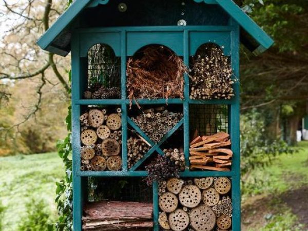 Mount Brandon Cottages 12