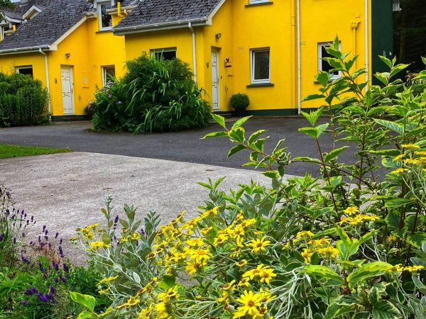 Mount Brandon Cottages 9