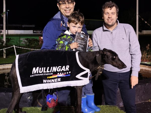 Mullingar Greyhound Stadium 1