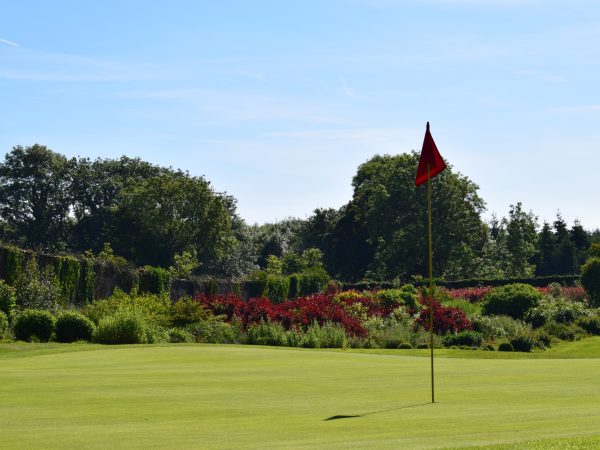 New Forest Estate Golf Club 1