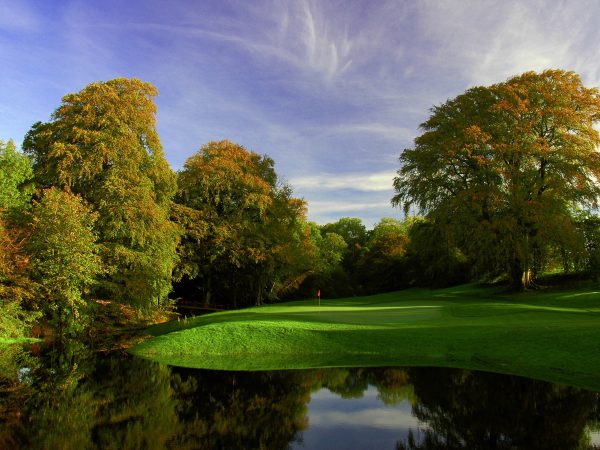 New Forest Estate Golf Club 5