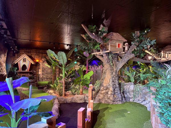 New Indoor Treehouse Adventure Golf