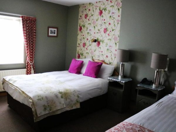 New Park Hotel 3