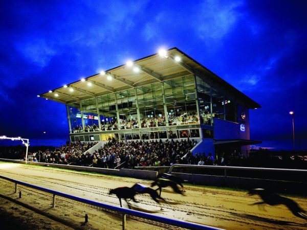 Newbridge Greyhound Stadium 1