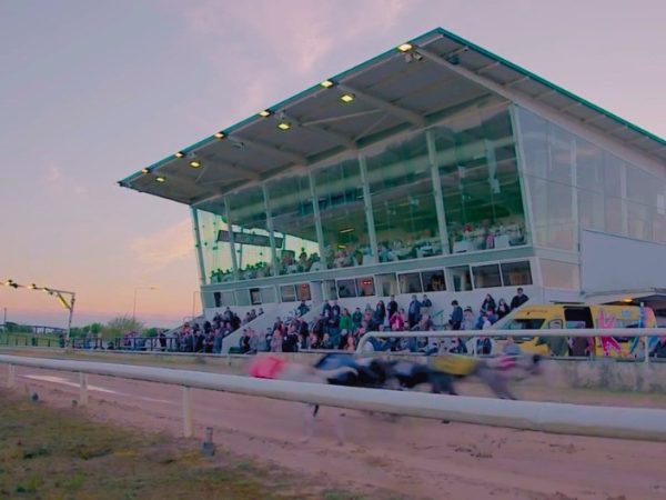 Newbridge Greyhound Stadium 3