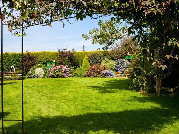 Newtown Farm Country House 10