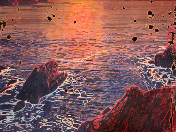 Niall Naessens Sunda na Blascaodaí 1000px