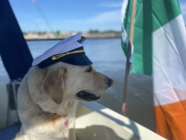 Osprey Viking Cruises 10