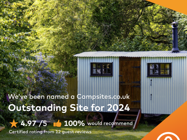 Outstanding Site 2024