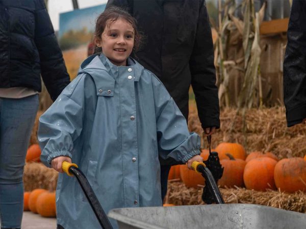 Pumpkin Picking 4