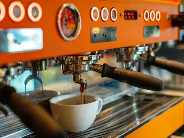 Restaurant 4 SMALL 08eebb43 989a 4fd2 90df f24869c21c5d jpg