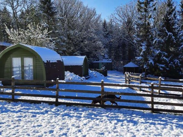 Rookery Farm Glamping 1