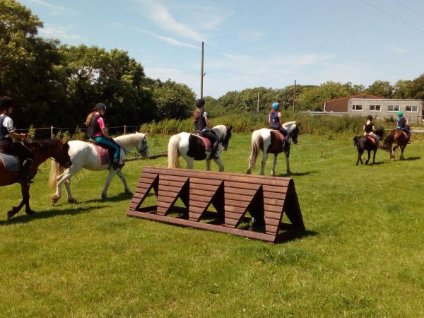 Roscommon Equestrian Centre 1