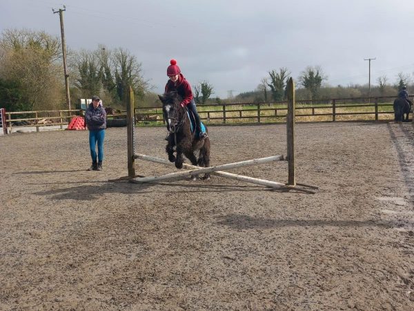 Roscommon Equestrian Centre 11
