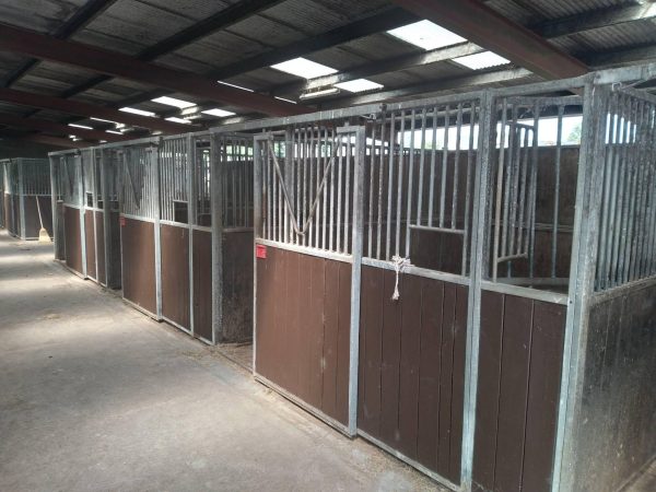 Roscommon Equestrian Centre 2