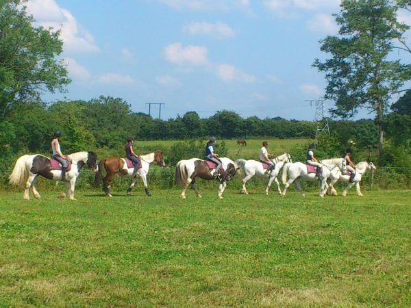 Roscommon Equestrian Centre 3