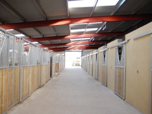 Roscommon Equestrian Centre 5