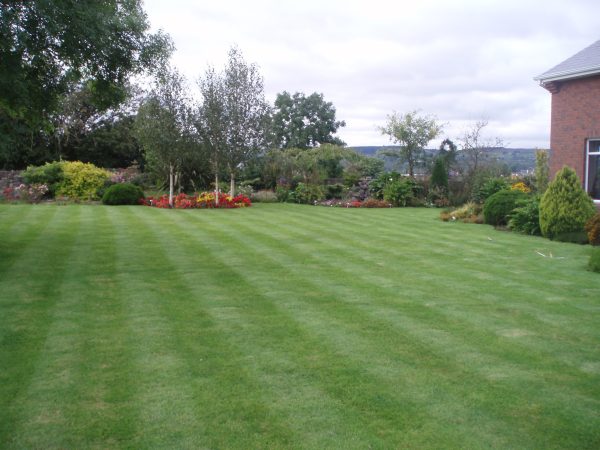 Rosdarrig Bed Breakfast 7