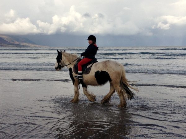 Rossbeigh Beach Riding Centre 3