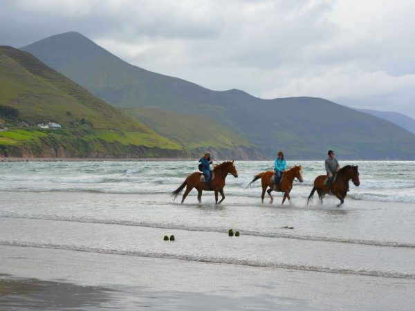 Rossbeigh Beach Riding Centre 4