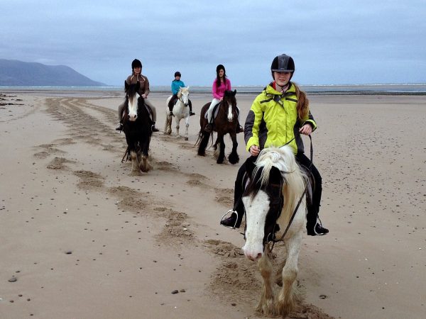 Rossbeigh Beach Riding Centre 6