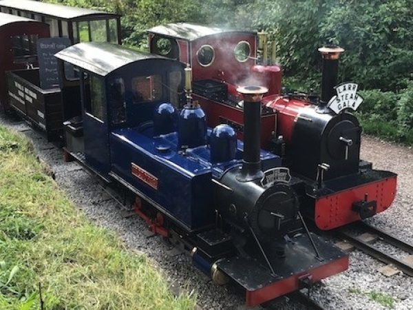 Rudyard Steam Railway 1