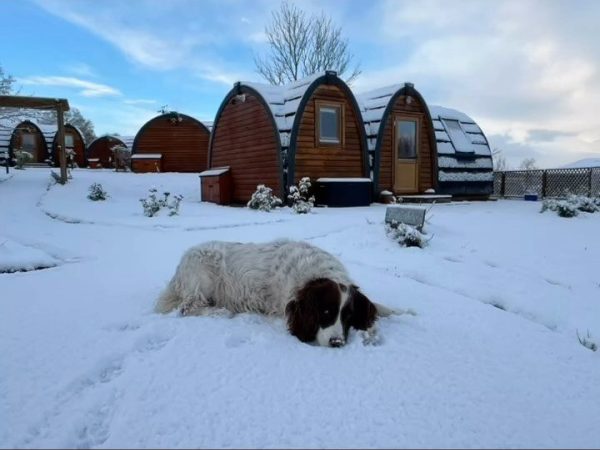 School Farm Holidays 6