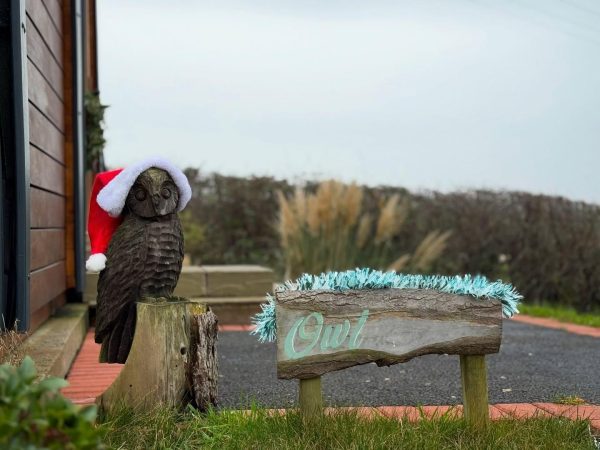 School Farm Holidays 7