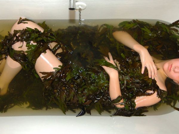 Soak Seaweed Baths 1