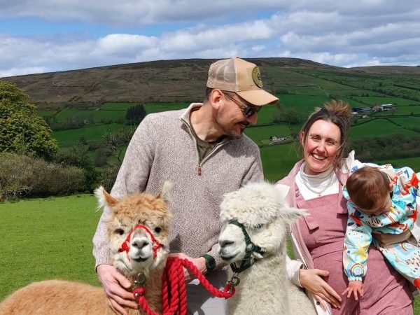 Sperrin Alpacas 10
