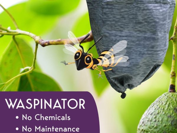 Springmount Garden Centre 2