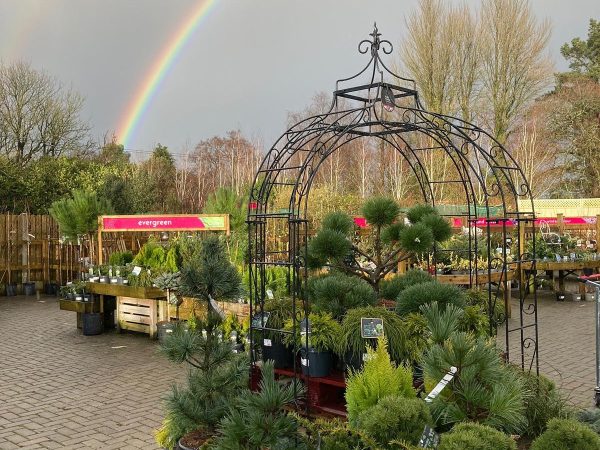 Springmount Garden Centre 3