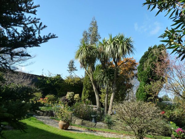 Stirabout Lane Bed Breakfast 10