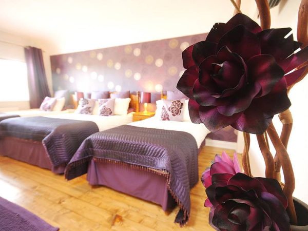 Stirabout Lane Bed Breakfast 1