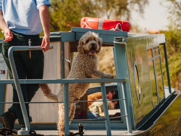 Tattenhall Marina Day Boats 6