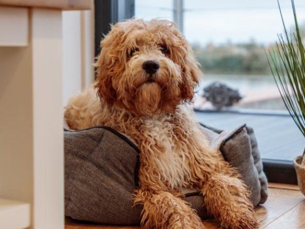 Tattenhall Marina Floating Pods 4