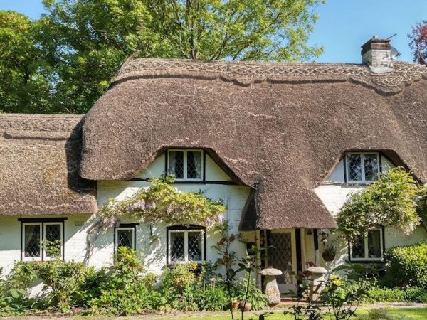 Thatched Eaves Luxury BB 3