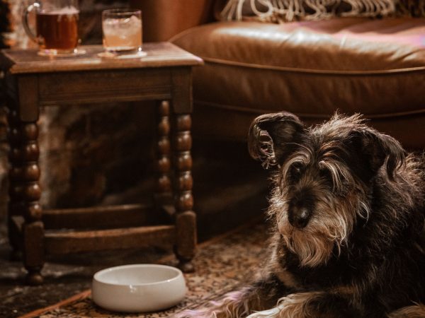 The Abbey Inn Byland 8