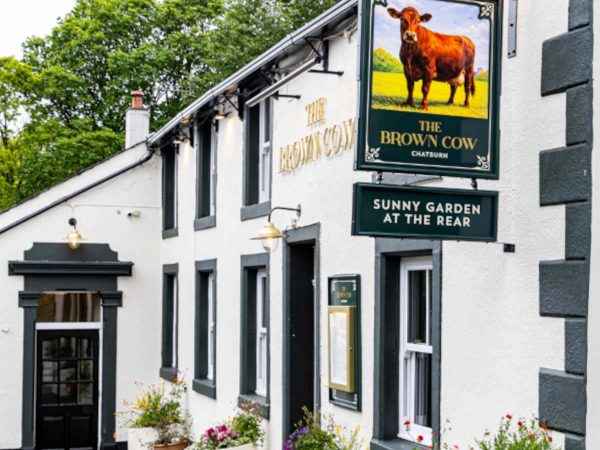 The Brown Cow 4