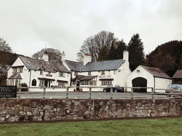 The Druid Inn Llanferres 8