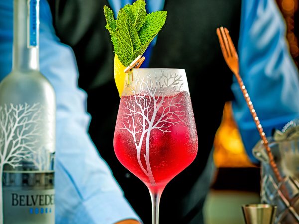 The George Hotel Limerick 8