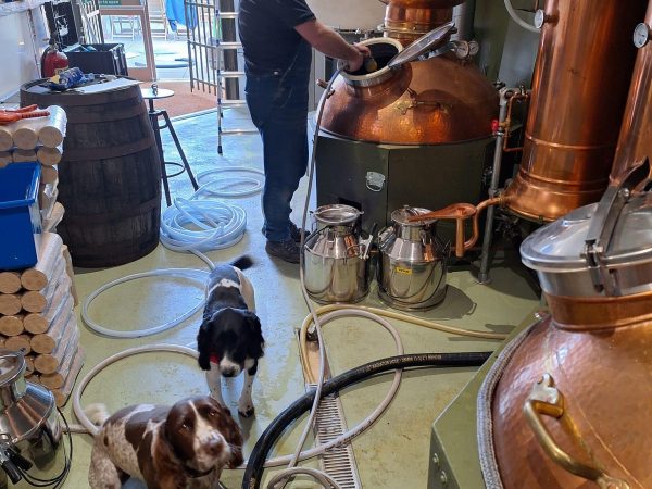 The Glenwinny Distillery 7