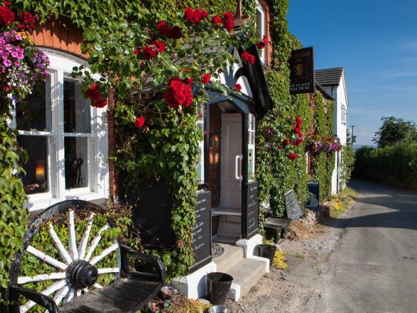 The Golden Lion Llangynhafal 2