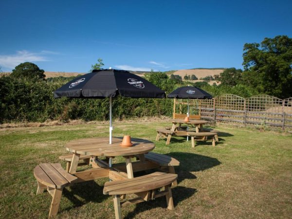 The Golden Lion Llangynhafal 6