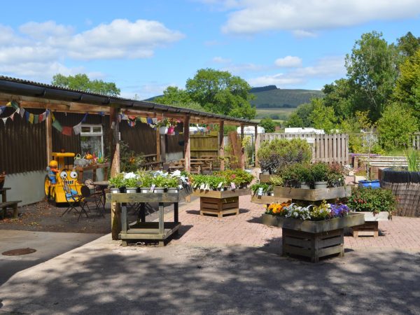 The Green Frog Cafe Campsite 13