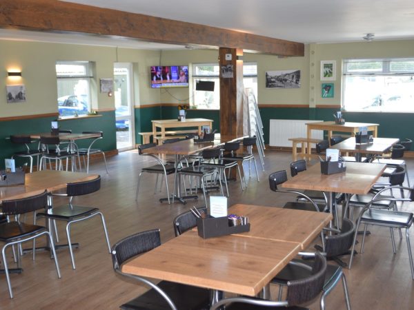 The Green Frog Cafe Campsite 14