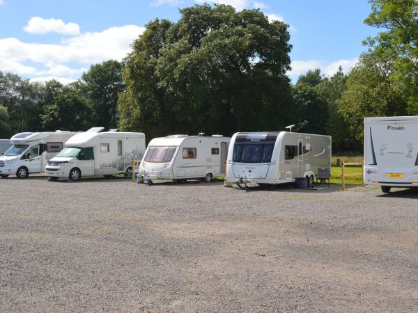 The Green Frog Cafe Campsite 6