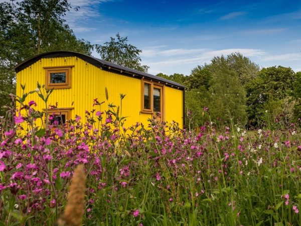 The Hamlet at Samlesbury Hall 9
