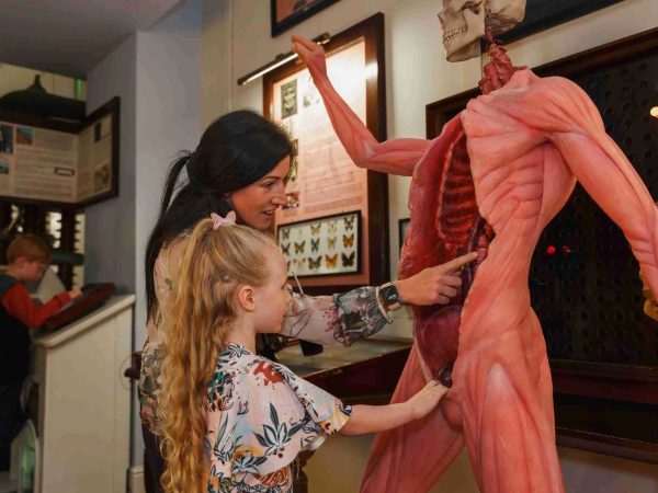 The National Wax Museum Plus 9