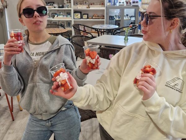 The Rock Craft Coffee 7